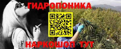 бошки Будённовск