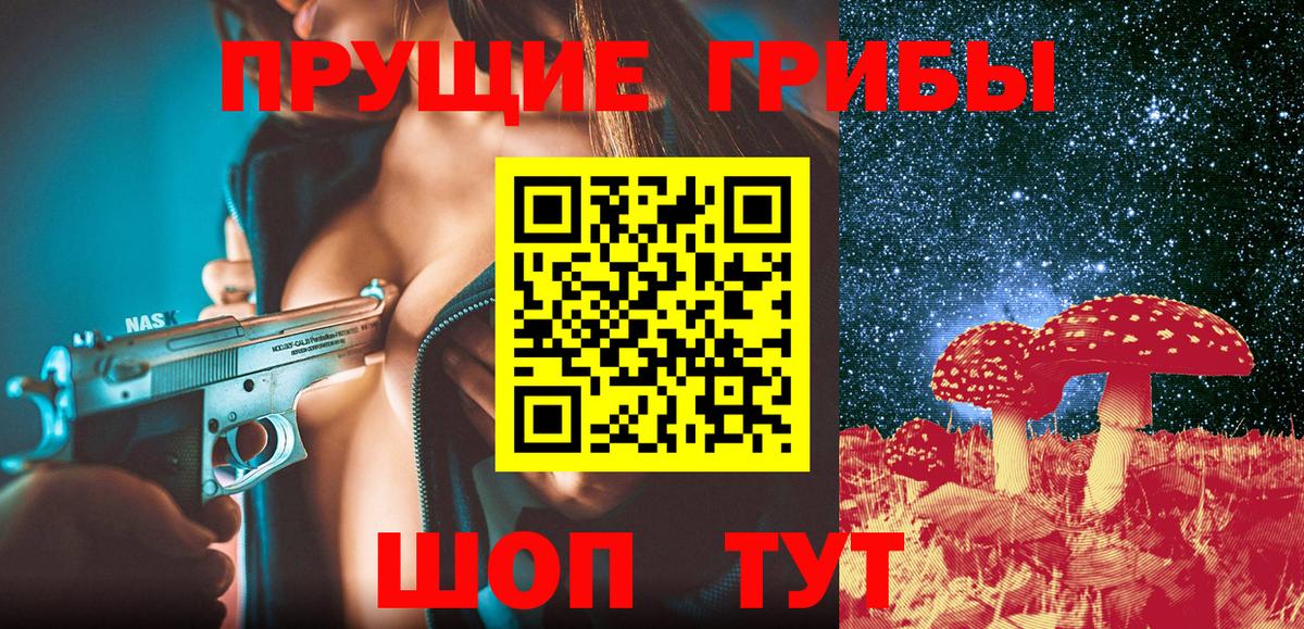 Галлюциногенные грибы Psilocybe Северск
